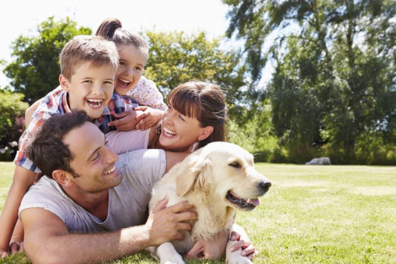 Why Animals Are Good For Your Health