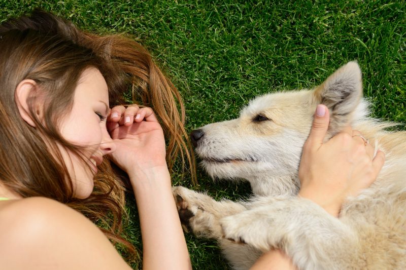 10 Things Your Pet Could Be Allergic To