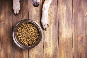 Should Your Dog’s Food be Grain Free